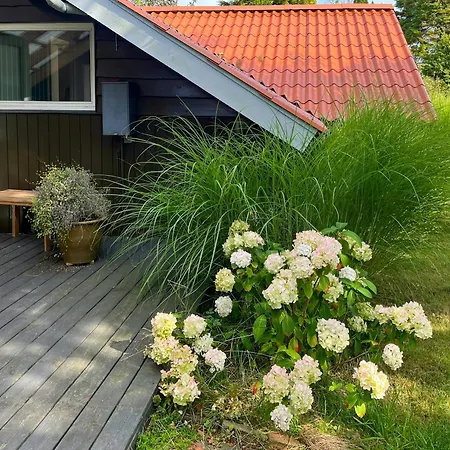 Kalmar House By Forest And In Lolland *