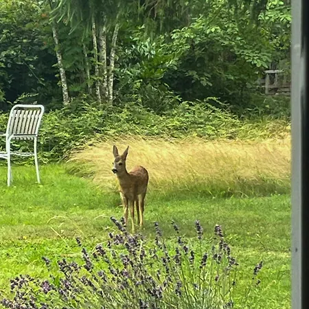 Kalmar House By Forest And In Lolland