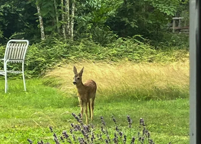 Kalmar House By Forest And In Lolland